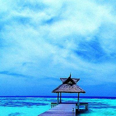 亚新综合平台·官方网站截图